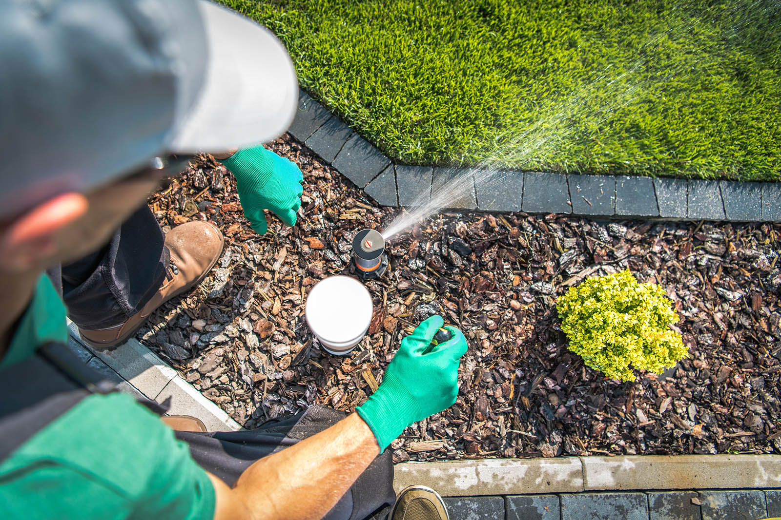 Adjusting Lawn Sprinkler by Professional Garden Irrigation Technician. 